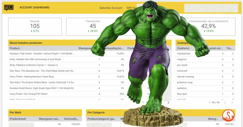 Van B2B webshop data naar account dashboard van groothandels