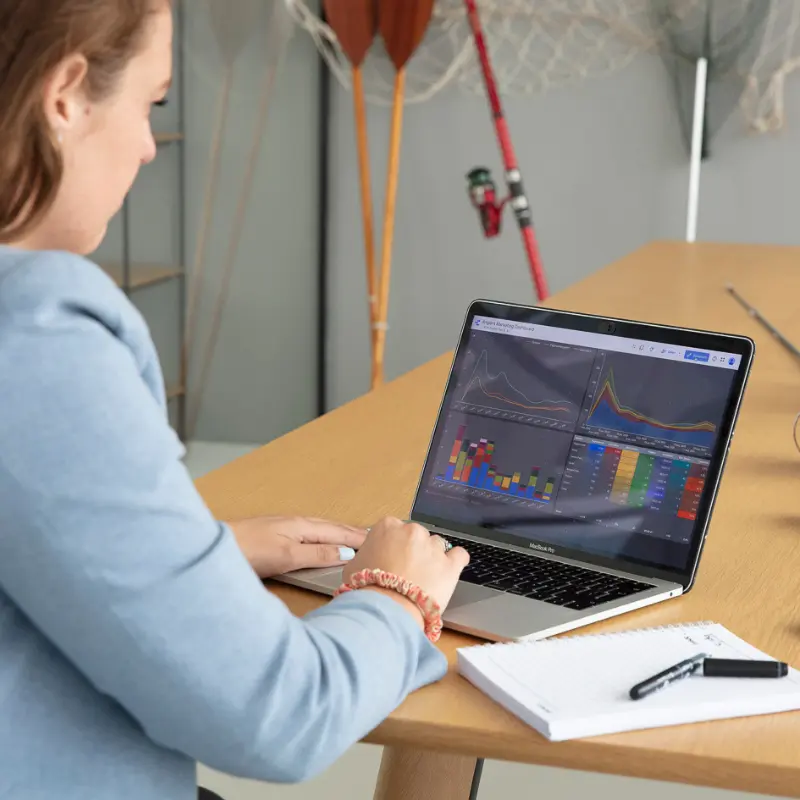 data analist inhuren