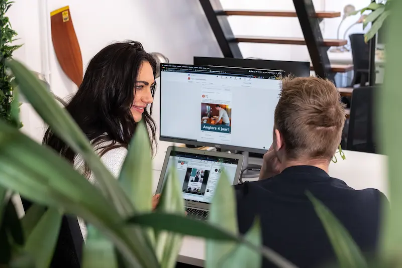 Online marketing advies