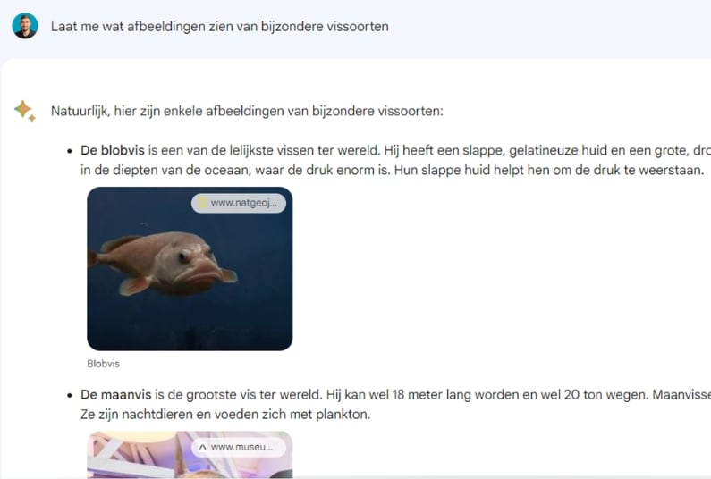 afbeeldingen opzoeken met ai van google bard