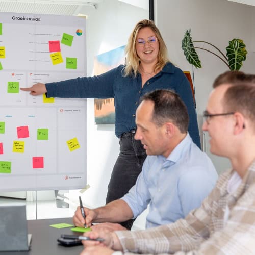 Online strategie